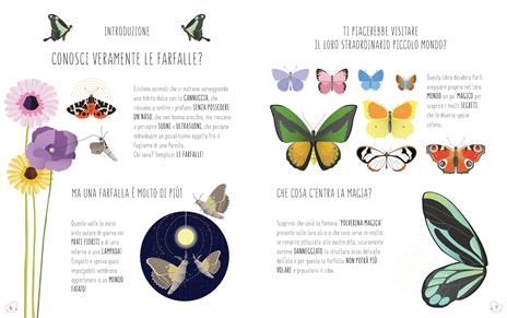 Il mondo delle farfalle. Ediz. a colori - Rita Mabel Schiavo - 4