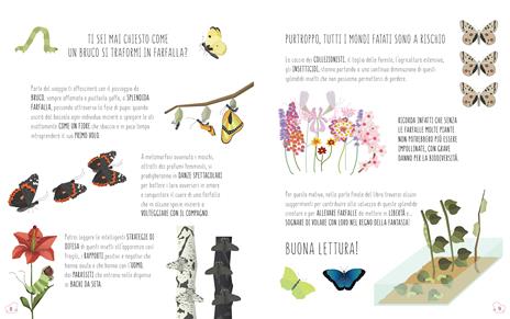 Il mondo delle farfalle. Ediz. a colori - Rita Mabel Schiavo - 5
