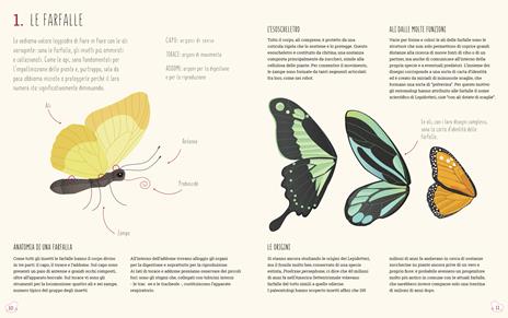 Il mondo delle farfalle. Ediz. a colori - Rita Mabel Schiavo - 6