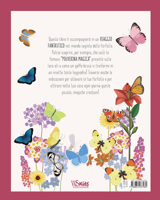Il mondo delle farfalle. Ediz. a colori - Rita Mabel Schiavo - 7