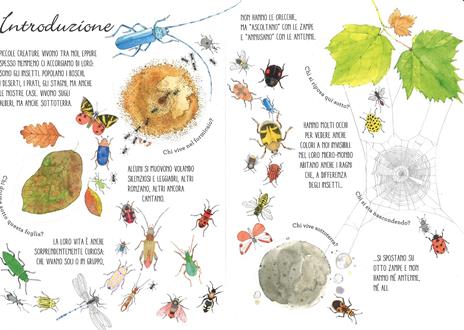 Il mondo degli insetti. Solleva e scopri - Cristina Peraboni,Cristina Banfi - 3