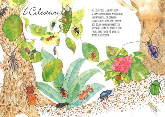 Il mondo degli insetti. Solleva e scopri - Cristina Peraboni,Cristina Banfi - 5