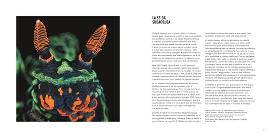 L'incredibile mondo sommerso. Insolite storie del mondo animale. Ediz. a colori - Rosamund Kidman Cox - 3