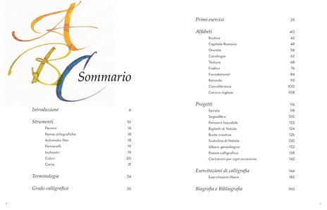 L'arte della calligrafia. Tecniche ed esercizi di scrittura - Laura Toffaletti - 2