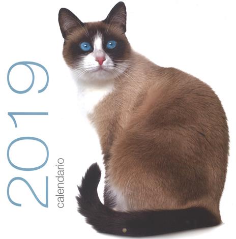 Gatti. Calendario da muro 2019 - copertina