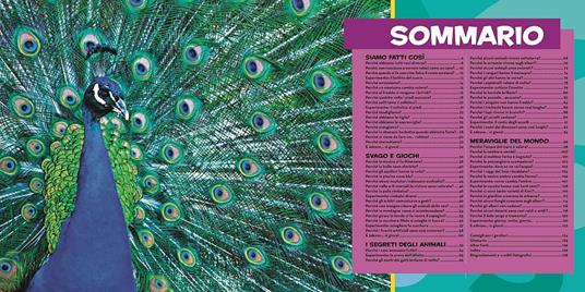 Il primo grande libro dei perché. Ediz. a colori. Vol. 2 - Jill Esbaum - 2