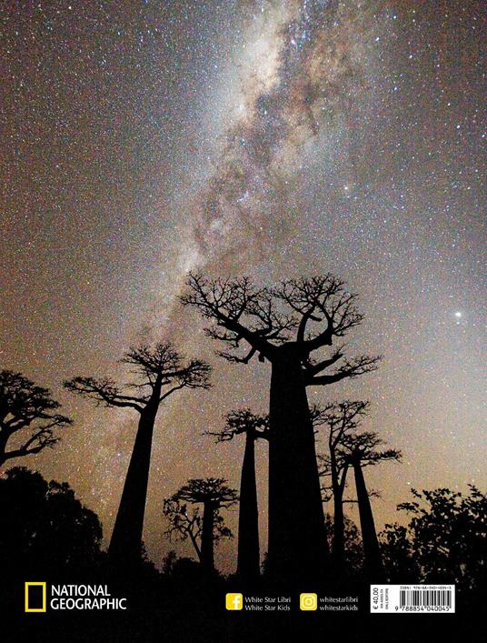Alberi tra cielo e terra. Ediz. a colori - Art Wolfe,Gregory McNamee - 7