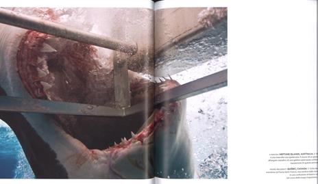 Il respiro del mondo. La terra e le sue inesauribili meraviglie. Ediz. a colori - Mark Thiessen - 3