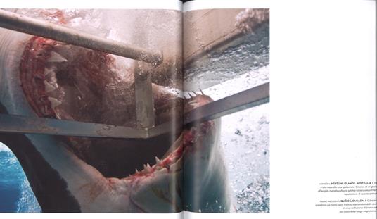 Il respiro del mondo. La terra e le sue inesauribili meraviglie. Ediz. a colori - Mark Thiessen - 3