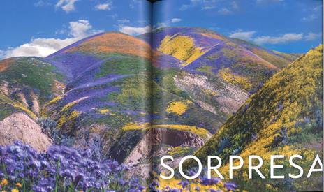 Il respiro del mondo. La terra e le sue inesauribili meraviglie. Ediz. a colori - Mark Thiessen - 4