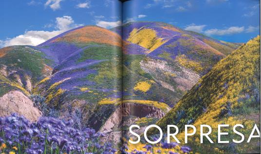 Il respiro del mondo. La terra e le sue inesauribili meraviglie. Ediz. a colori - Mark Thiessen - 4