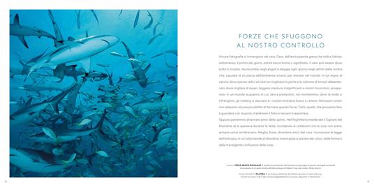 Il respiro del mondo. La terra e le sue inesauribili meraviglie. Ediz. a colori - Mark Thiessen - 6