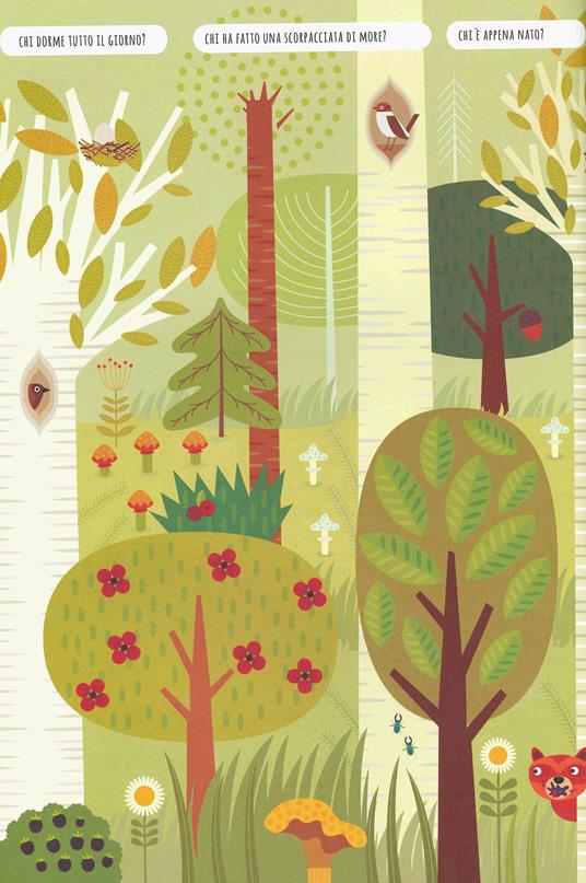 Avventure nel bosco con Lupo Bernardo. Trovami! Ediz. a colori - Agnese Baruzzi - 4