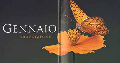 Lo zen quotidiano. 365 giorni di serenità. Ediz. a colori - 2