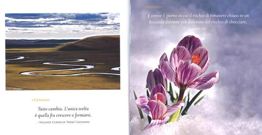 Lo zen quotidiano. 365 giorni di serenità. Ediz. a colori - 3