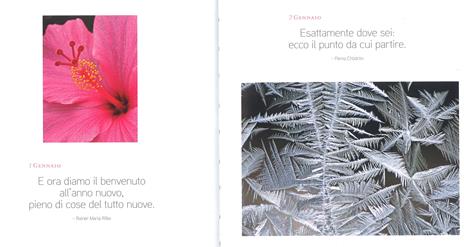 365 giorni di immagini e pensieri per lo spirito. Ediz. a colori - 2