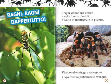 Ragni. Livello 2. Diventa un super lettore. Ediz. a colori - Laura Marsh - 2