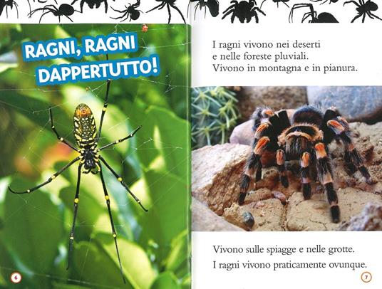 Ragni. Livello 2. Diventa un super lettore. Ediz. a colori - Laura Marsh - 2