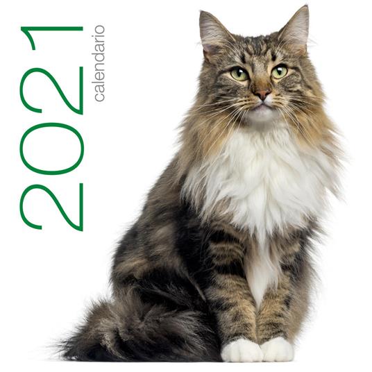 Gatti. Calendario da muro 2021 - copertina