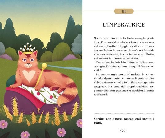GATTI MAGICI - TAROCCHI 78 Carte e manuale - 6