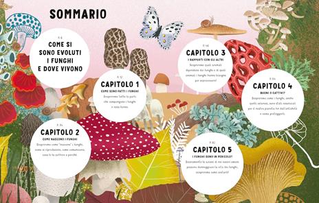 I segreti dei funghi. Ediz. a colori - Ester Castelnuovo,Ginevra Picoco,Lorenzo Cocchi - 2