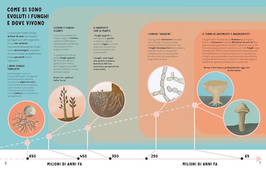 I segreti dei funghi. Ediz. a colori - Ester Castelnuovo,Ginevra Picoco,Lorenzo Cocchi - 4