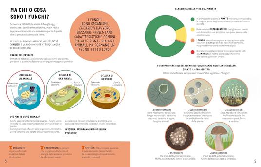 I segreti dei funghi. Ediz. a colori - Ester Castelnuovo,Ginevra Picoco,Lorenzo Cocchi - 5