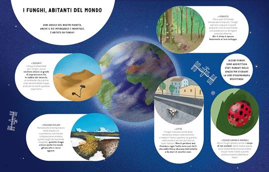 I segreti dei funghi. Ediz. a colori - Ester Castelnuovo,Ginevra Picoco,Lorenzo Cocchi - 6