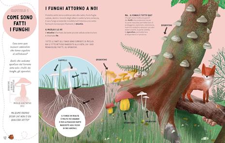 I segreti dei funghi. Ediz. a colori - Ester Castelnuovo,Ginevra Picoco,Lorenzo Cocchi - 7