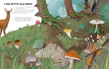 I segreti dei funghi. Ediz. a colori - Ester Castelnuovo,Ginevra Picoco,Lorenzo Cocchi - 8