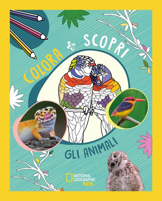 Animali. Colora + scopri. Ediz. illustrata - copertina