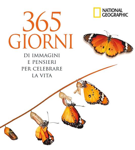 365 giorni di immagini e pensieri per celebrare la vita. Ediz. a colori - copertina