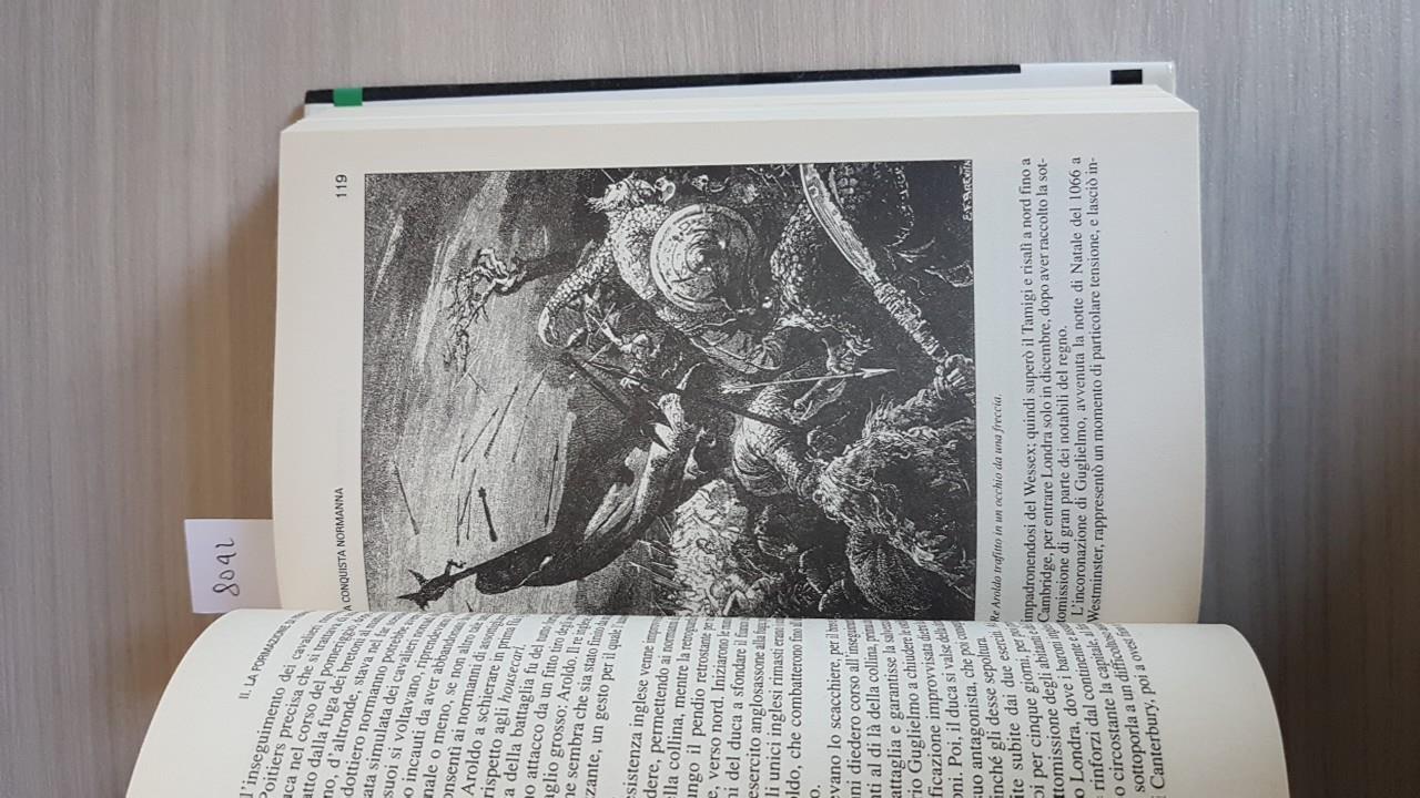 Le grandi battaglie del Medioevo. Dalle invasioni arabe alla caduta di Granada: mille anni di scontri e conflitti che hanno segnato la storia dell'umanità