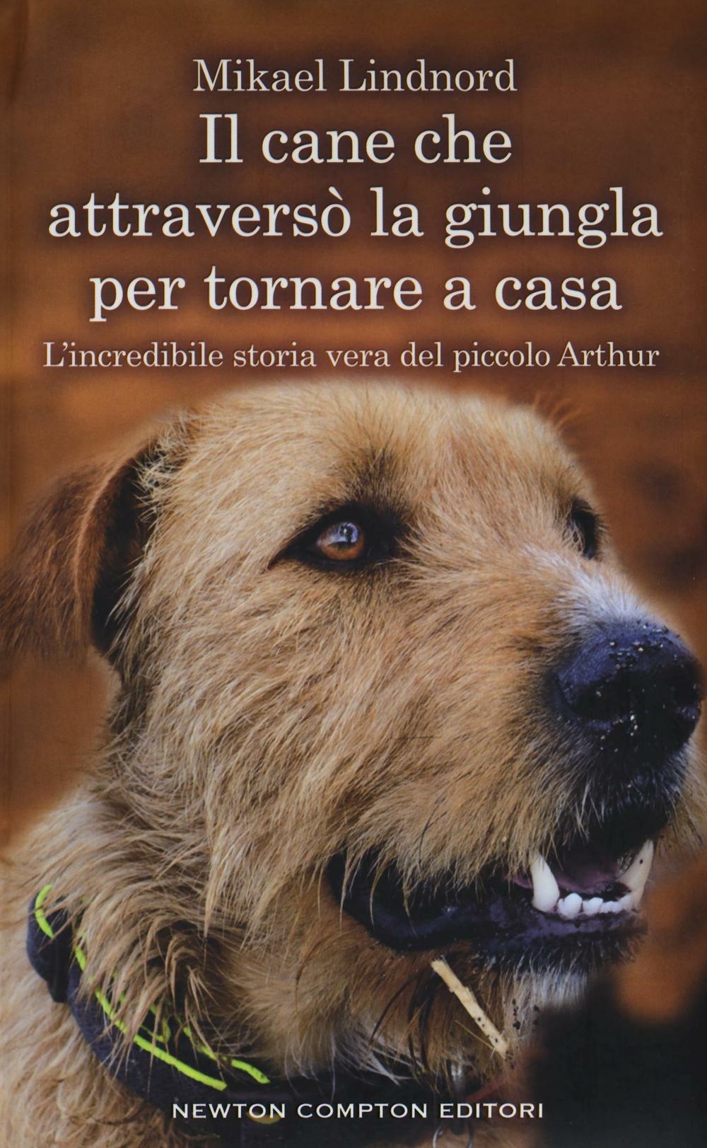 Sbinario nove e 3/4