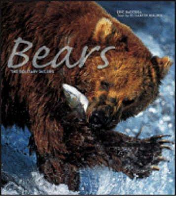 Bears. Ediz. illustrata - Eric Baccega,Gianni Guadalupi - copertina