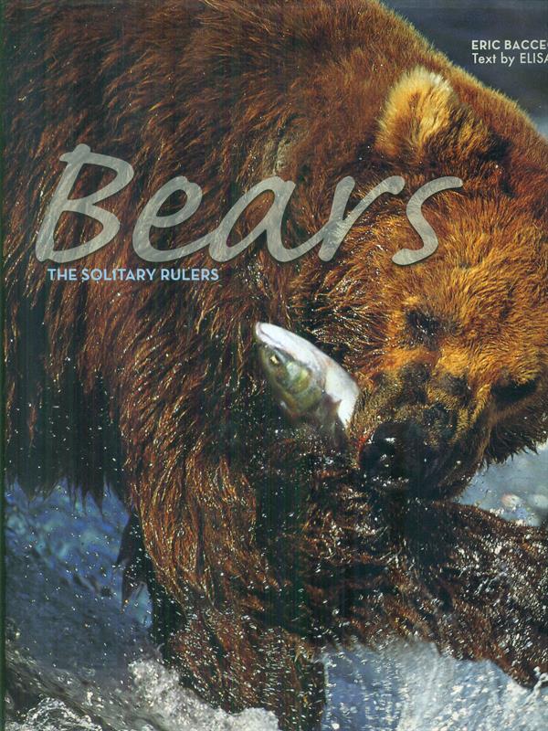 Bears. Ediz. illustrata