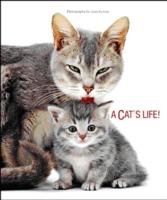 A cat's life. Ediz. illustrata - Jane Burton - copertina