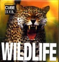 Wild life mini. Ediz. illustrata - Valeria Manferto De Fabianis - copertina