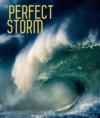 The perfect storm. Ediz. illustrata - copertina