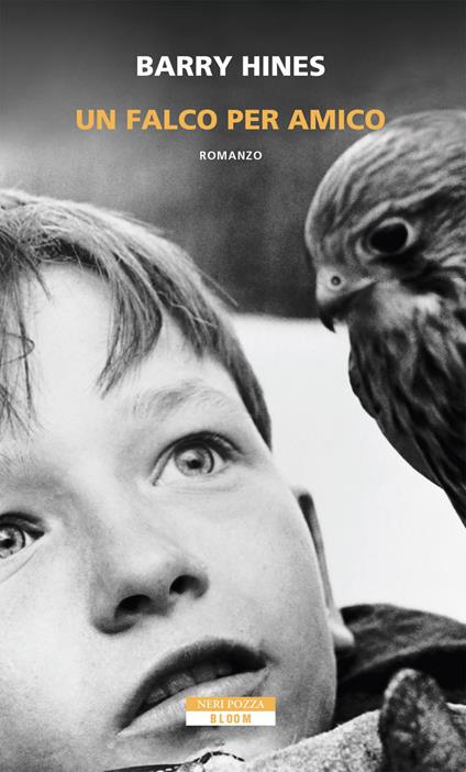 Un falco per amico - Barry Hines,Massimo Ortelio - ebook