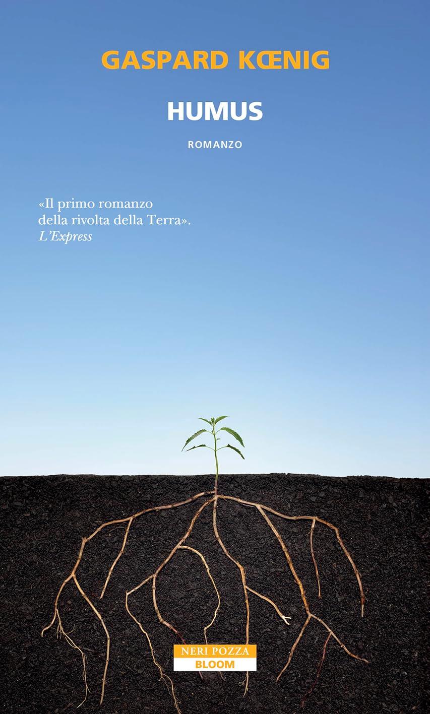 Libreria Serendipity