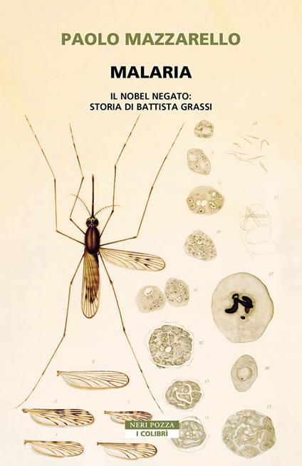 Malaria. Il Nobel negato: storia di Battista Grassi - Paolo Mazzarello - ebook