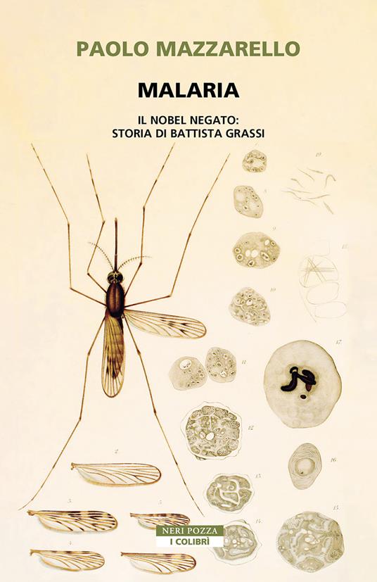 Malaria. Il Nobel negato: storia di Battista Grassi - Paolo Mazzarello - ebook
