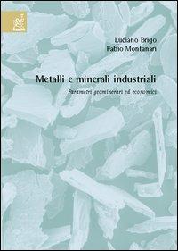 Metalli e minerali industriali. Parametri geominerari ed economici - Luciano Brigo,Fabio Montanari - copertina