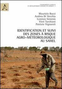 Identification et Suivi des Zones à Risque agro-météorologique au Sahel - Maurizio Bacci,Andrea Di Vecchia,Lorenzo Genesio - copertina