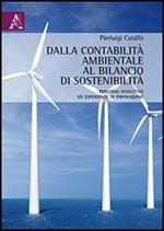 Dalla contabilità ambientale al bilancio di sostenibilità. Percorso evolutivo ed esperienze di innovazione