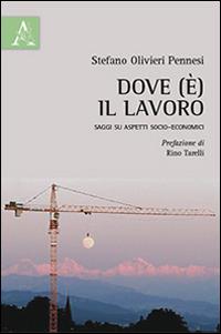 Dove (è) il lavoro. Saggi su aspetti socio-economici - Stefano Olivieri Pennesi - copertina