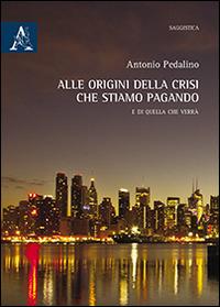 Alle origini della crisi che stiamo pagando. E di quella che verrà - Antonio Pedalino - copertina
