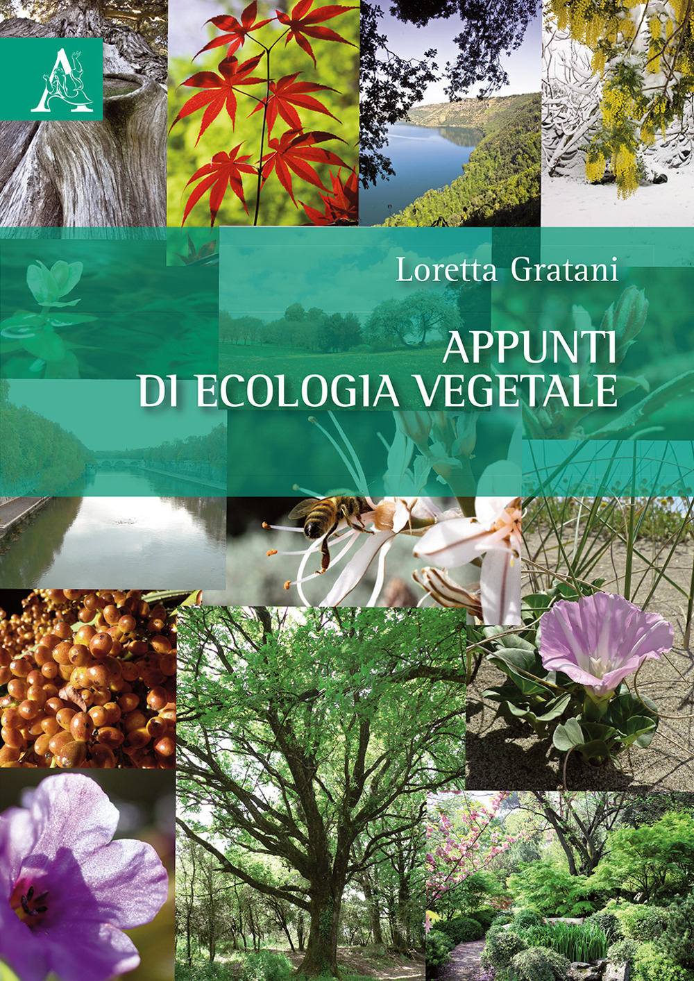 Nocilli distribuzione libri