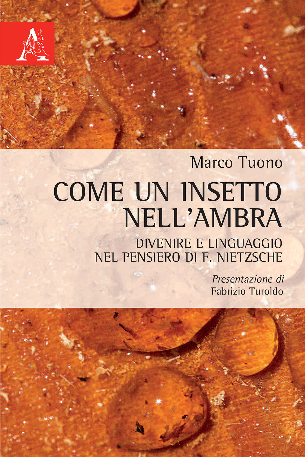 Nocilli distribuzione libri